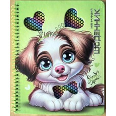 Щоденник шк. на спіралі А5 №SD1904/6709 40арк. тв. обкл./Мандарин/(80)