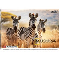 Альбом для малюв. на пруж. 30/120 А4 УФ-лак №PB-SC-030-8043/Школярик/(9)(63)