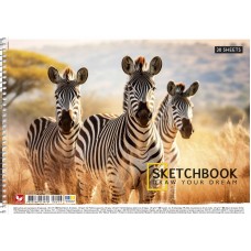 Альбом для малюв. на пруж. 30/120 А4 УФ-лак №PB-SC-030-8043/Школярик/(9)(63)