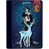 Блокнот А5 60арк. кліт. тв. обкл. Harry Potter з магнітною закладкою №HP25-192/Kite/(20)(40)