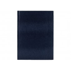 Зошит А4 96арк. кліт. тв.обкл. "Змія" синій №E21920-02/Economix/(5)