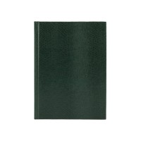 Зошит А4 96арк. кліт. тв.обкл. "Змія" зелений №E21920-04/Economix/(5)