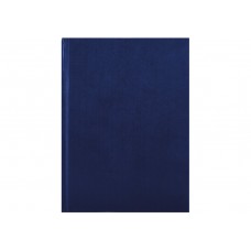 Зошит А4 96арк. кліт. тв.обкл. "Бізнес" синій №E21922-02/Economix/(5)(20)