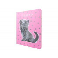 Щоденник шк. В5 "Maxi" №MX29911 48арк. тв. обкл.(36)