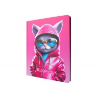 Щоденник шк. В5 "Maxi" №MX29909 48арк. тв. обкл.(36)