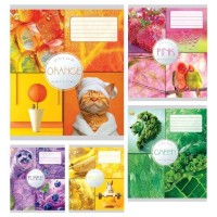 Зошит 18арк. лін. /ТВ/ "Кольорова" №ТА52208(20)(400)