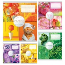 Зошит 18арк. лін. /ТВ/ "Кольорова" №ТА52208(20)(400)