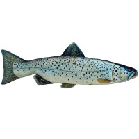 М'яка ігр. "Сувенір лосось великий 1" 16х10х74 №00287-31