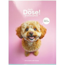 Блокнот А5 48арк. кліт. карт. "Student" виб УФ-лак №A5-048-5253K/Школярик/(8)(144)