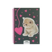 Блокнот пруж. А5 80арк. кліт. пласт. "Maxi" №MX21950-04(9)(54)