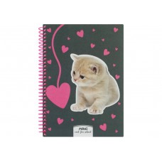 Блокнот пруж. А5 80арк. кліт. пласт. "Maxi" №MX21950-04(9)(54)