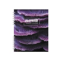 Блокнот пруж. В5 60арк. кліт. пласт. №O25934/Optima/(40)