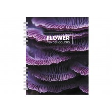 Блокнот пруж. В5 60арк. кліт. пласт. №O25934/Optima/(40)