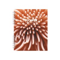 Блокнот пруж. В5 60арк. кліт. пласт. №O25935/Optima/(40)