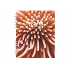 Блокнот пруж. В5 60арк. кліт. пласт. №O25935/Optima/(40)