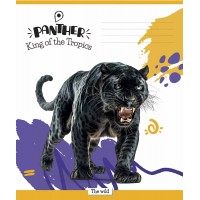 Зошит 18арк. кліт. Star ВД-лак №018-3421K(25)(250)