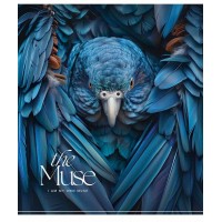 Зошит 96арк. кліт. Школярик "The Muse" УФ лак №096-3444K(5)(50)