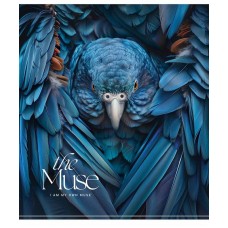 Зошит 96арк. кліт. Школярик "The Muse" УФ лак №096-3444K(5)(50)