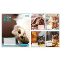 Зошит 12арк. кліт. 1В Bliss №768051(25)(500)