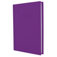 Щоденник A5 Economix датований 2025 Satin фіолетовий E21612-12  