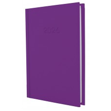 Щоденник A5 Economix датований 2025 Satin фіолетовий E21612-12  