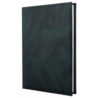 Ежедневник А5 Economix  датированный 2025 Office зеленый E21607-04