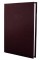 Щоденник А5 Economix датований 2025  Стиль бордовий E21636-18