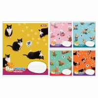 Зошит 12арк. кліт. 1В Pawsitively №768235(25)(500)