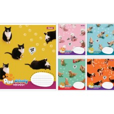 Зошит 18арк. кліт. 1В Pawsitively №768238(25)(400)