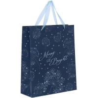 Пакет подарунковий пласт. "Axent" №8503-44-A Flower Symphony-4 25х19см(12)