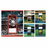 Зошит 60арк. кліт. YES Football stadium №767752(10)(160)