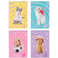 Зошит для малюв. на пруж. 30/120 А4 "SP" УФ лак + глітер №SP25-243/Kite/(12)(96)