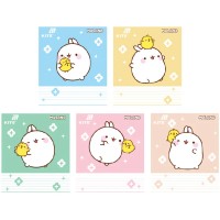 Зошит 18арк. лін. "Kite" софт тач + УФ лак об'ємний Molang №ML26-237(20)(400)