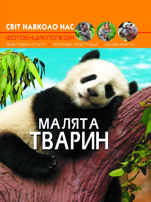 Книжка А4 Світ навколо нас. Малята тварин тверда обкладинка Бао 9499
