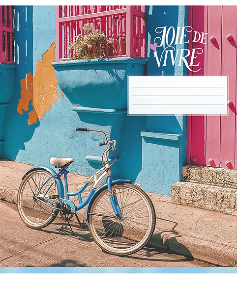 Зошит 48 аркушів лінія Joie de vivre 048-2610 L