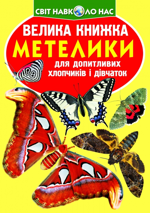 Книга В4 Велика книга. Метелики м'яка обкладинка/Бао/7754