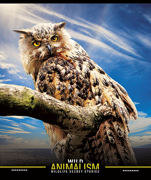 Зошит 60 аркушів лінія Star Wild animalism УФ лак 060-2382 L