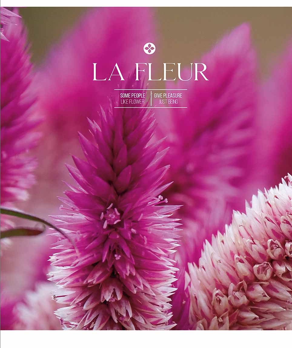Зошит 60 аркушів клітинка Star La Fleur ВД-лак 060-2979 K
