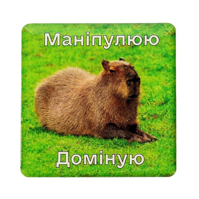 Наліпка 3D «Маніпулюю доміную»