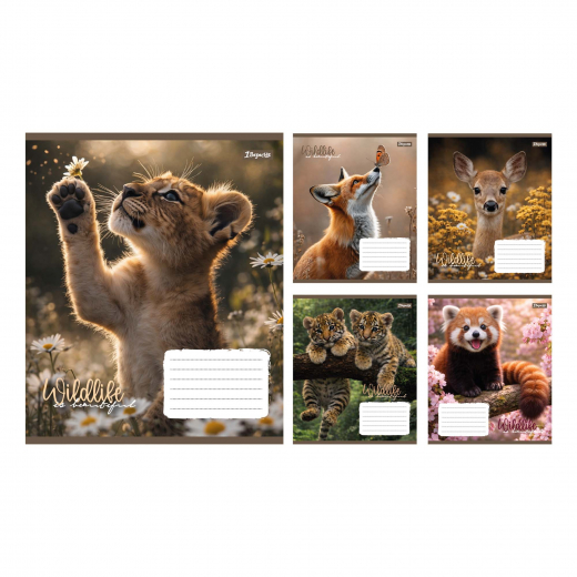 Зошит 18 аркушів лінія 1В Wildlife is beautiful