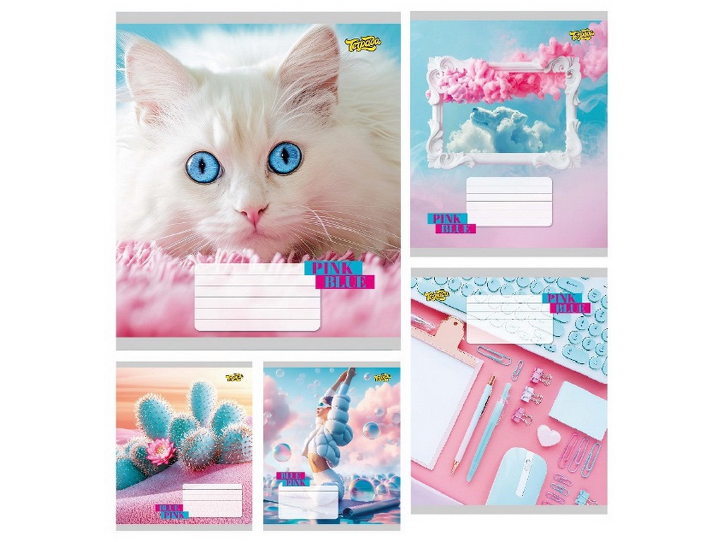 Зошит 48 аркушів клітинка «BluePink»