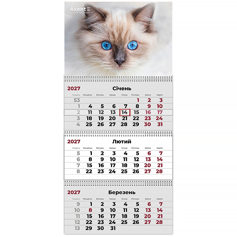 Календар кварт. настін. Cats 2″ 2027,3 пружини
