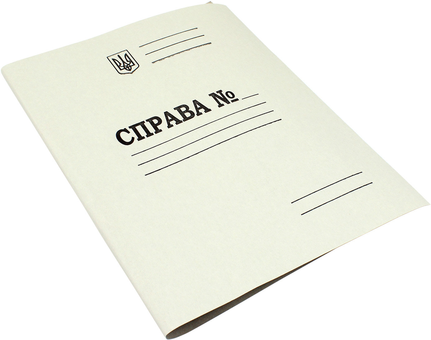 Папка-швидкозшивач DK004 А4 картонна
