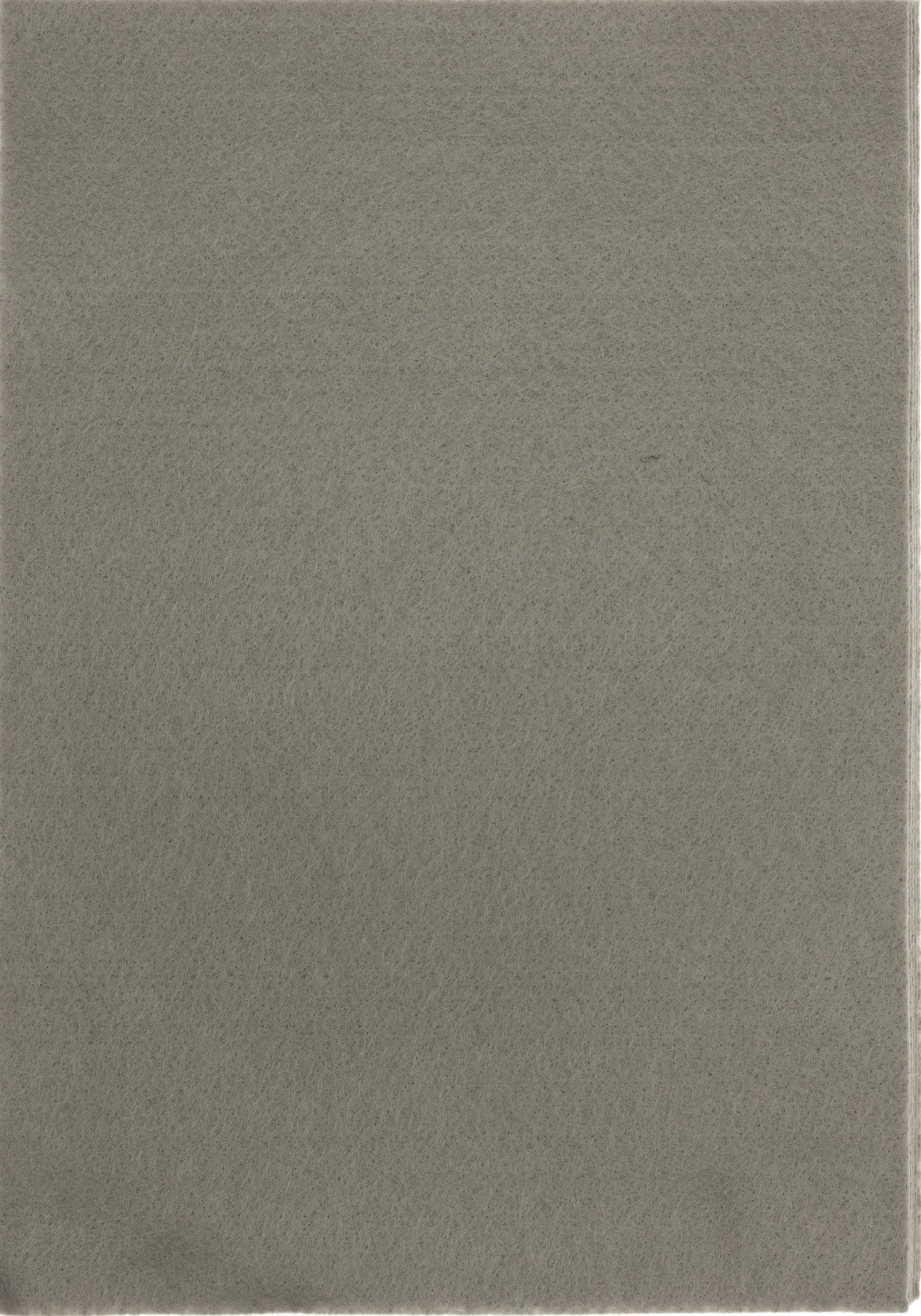 Фетр м'який 21×30см світло-сірий