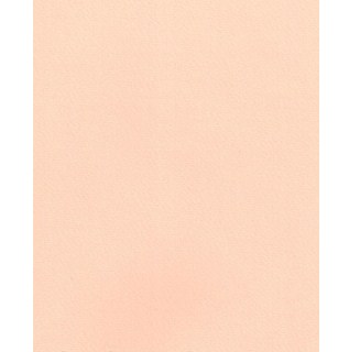 Бумага для пастели А4 rosa 21×29,7 см 160 г/м2 25 розовая