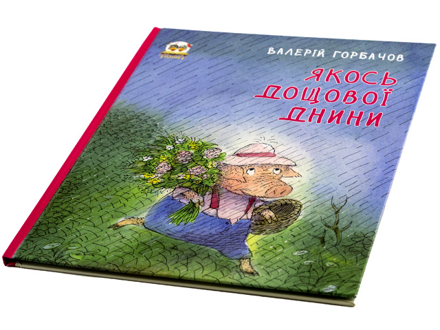 Книжки-картинки А4 Якось дощової днини українською