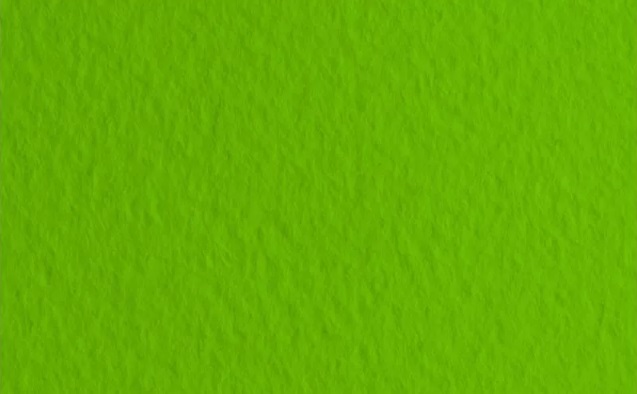 Папір для пастелі А4 43 pistacch 21×29,7см 160г/м2, фісташковий