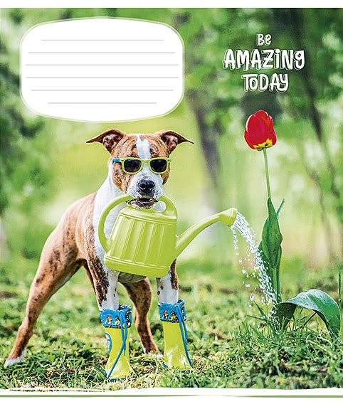 Зошит 12 аркушів лінія Be amazing today