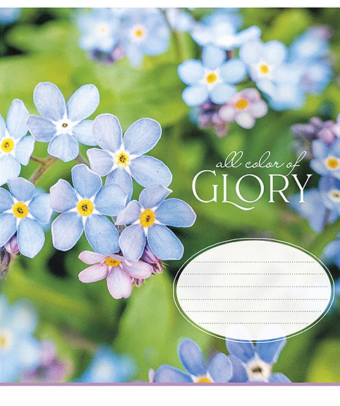 Зошит 12 аркушів лінія All colour of glory