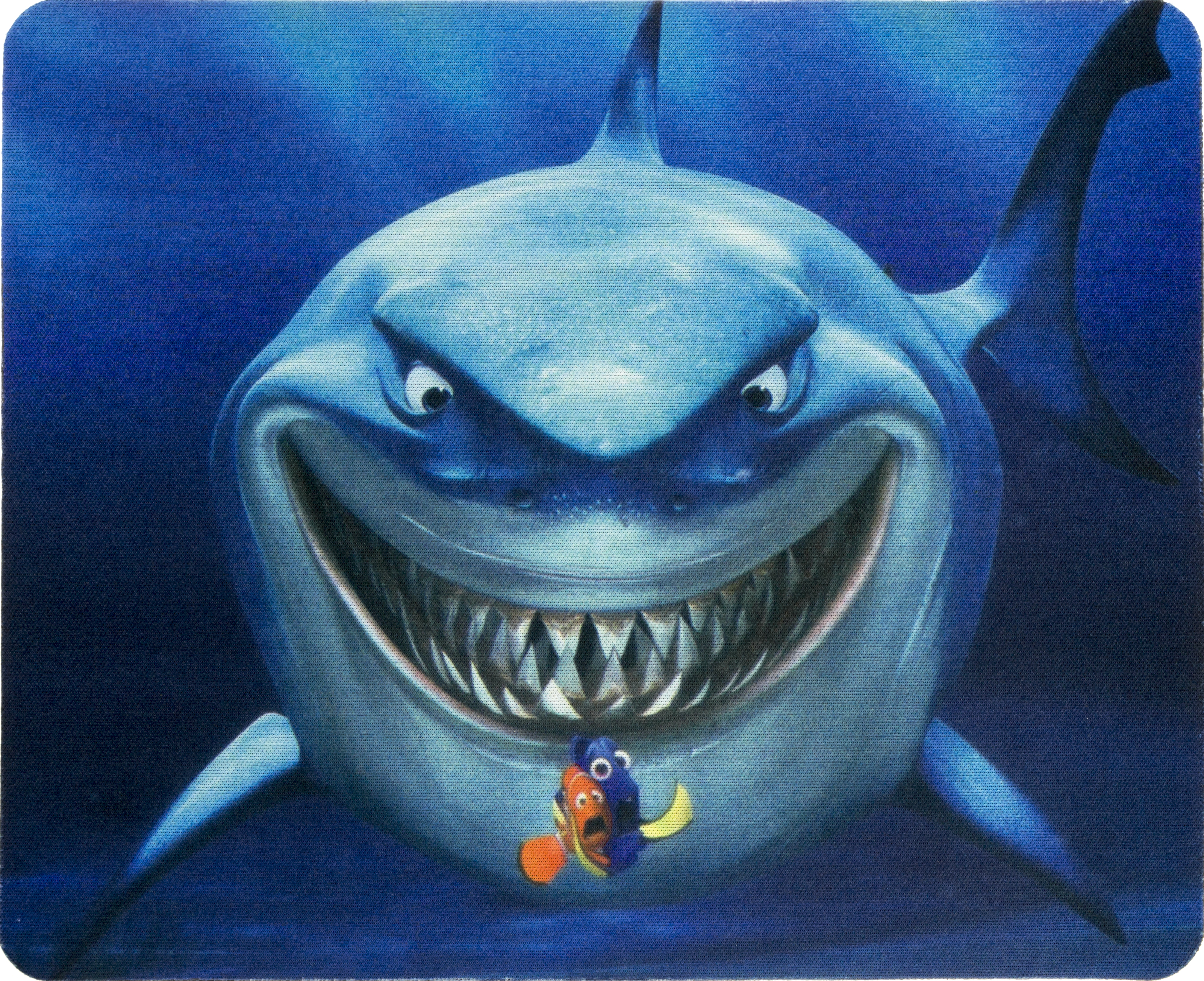 Килимок тканинний Nemo 220×177×2мм